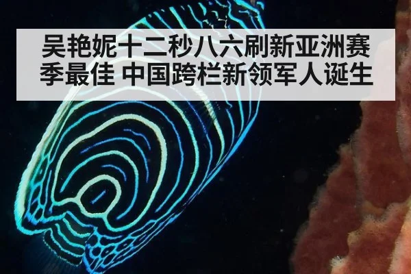 吴艳妮十二秒八六刷新亚洲赛季最佳 中国跨栏新领军人诞生