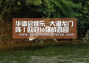 华体会平台